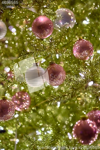 Image of Christmas Tree Decoration