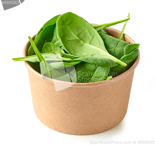 Image of fresh green spinach leaves