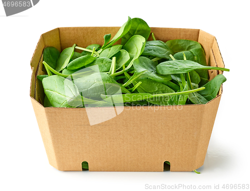 Image of fresh green spinach leaves