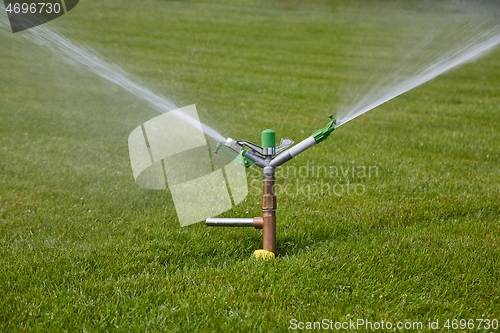 Image of Garden sprinkler watering