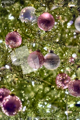 Image of Christmas Tree Decoration