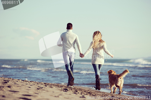 Image of couple with dog having fun on beach on autmun day