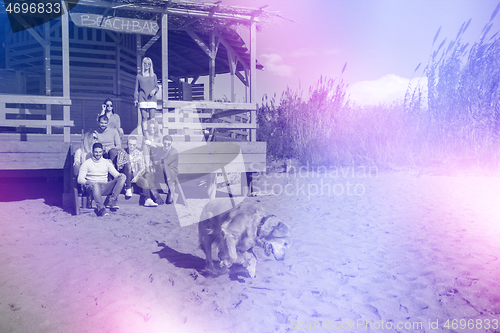 Image of Group of friends having fun on autumn day at beach