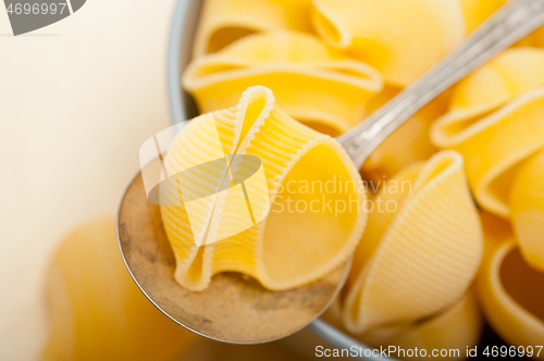 Image of Italian snail lumaconi pasta 