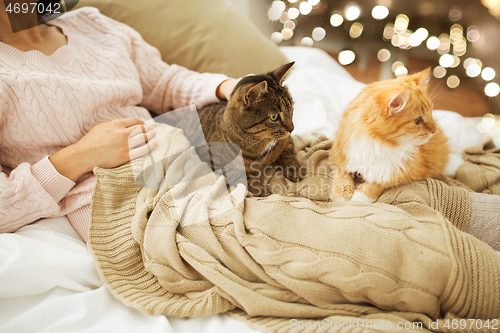 Image of close up of owner with red and tabby cat in bed