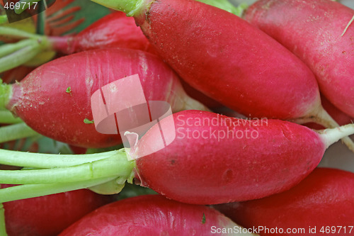 Image of Reddish