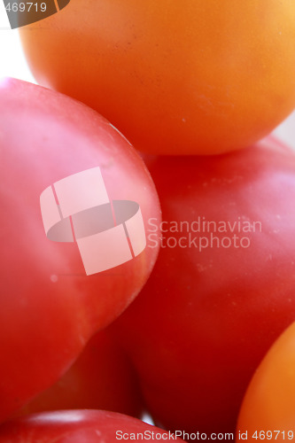 Image of Tomatoes