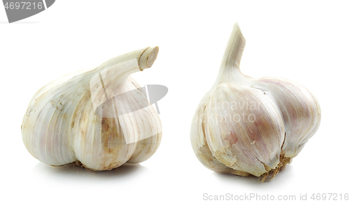 Image of natural organic garlic