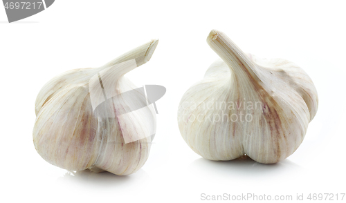 Image of garlic bulbs on white background