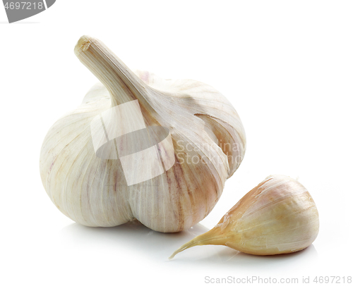 Image of natural organic garlic