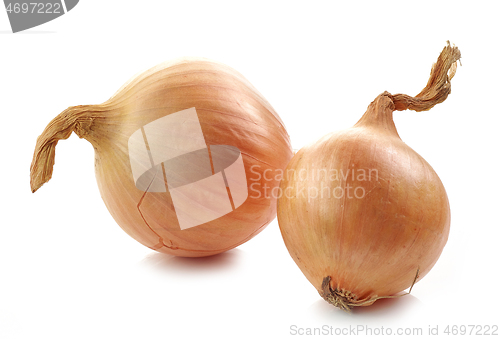 Image of fresh raw onions