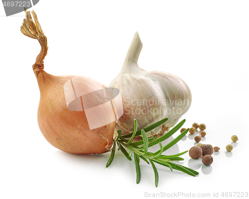 Image of composition of onion, garlic and spices