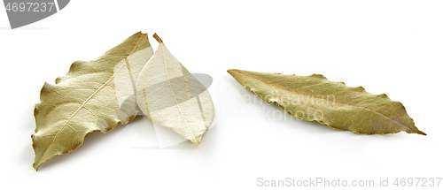 Image of dried bay leaves