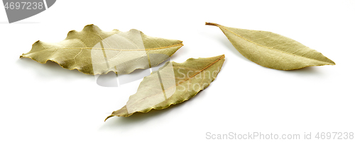 Image of dried bay leaves