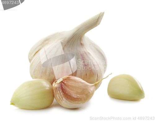 Image of fresh raw garlic