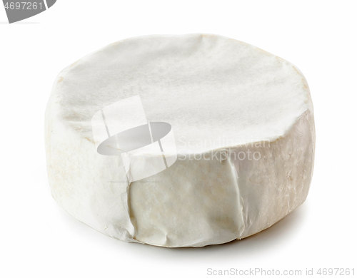 Image of fresh whole brie cheese