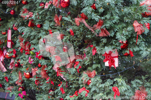 Image of An ornament on a Christmas tree in a city park