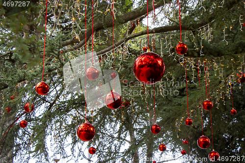 Image of Christmas decoration with with red Christmas balls on a tree in 