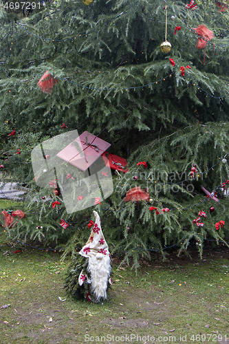 Image of Small garden dwarf made of pine twigs as a Christmas decoration 