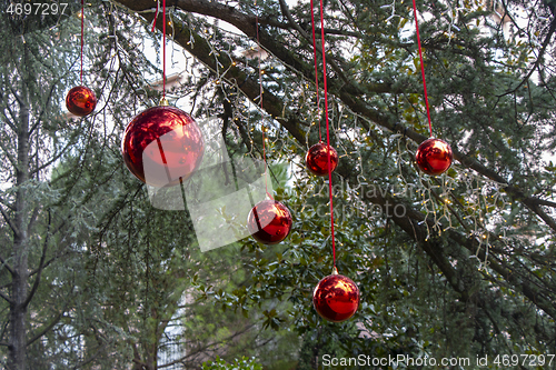 Image of Christmas decoration with with red Christmas balls on a tree in 