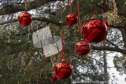 Image of Christmas decoration with with red Christmas balls on a tree in 