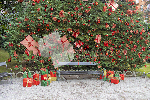 Image of Christmas decorations on a tree in a city park