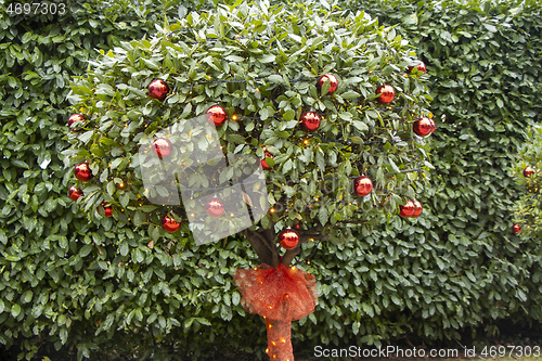 Image of Christmas decorations on a tree in a city park