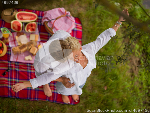 Image of top view of couple enjoying picnic time