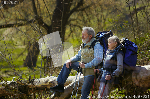 Image of Travel and tourism. Family couple enjoying walk together