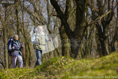 Image of Travel and tourism. Family couple enjoying walk together