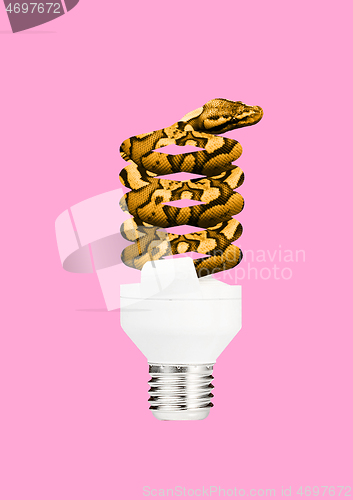 Image of Modern design. Contemporary art collage.