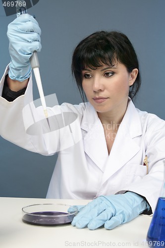 Image of Laboratory worker