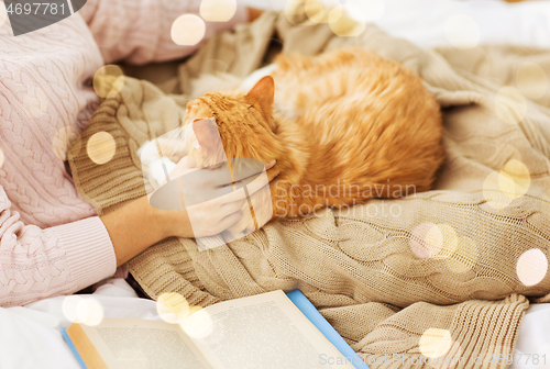 Image of close up of owner stroking red cat in bed at home