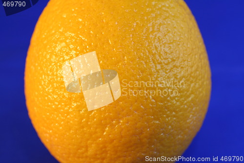 Image of Orange