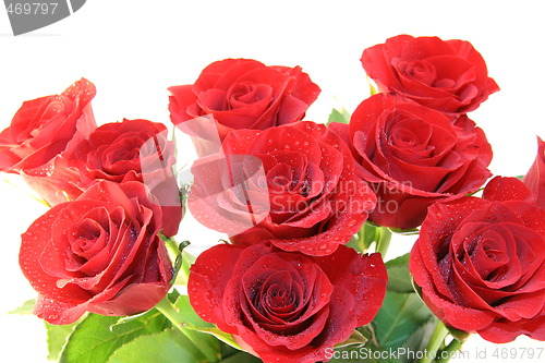 Image of Red roses