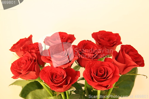 Image of Red Roses