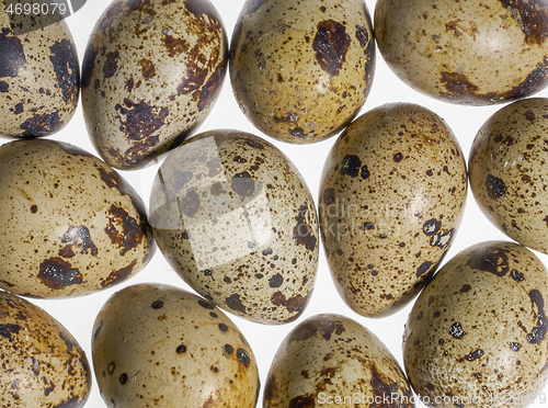 Image of some quail eggs