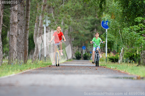 Image of Two girlfriends ride a bike along the paths in the park