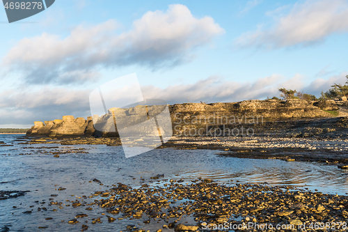 Image of Limestone formations by seaside