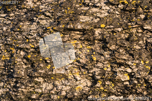 Image of Eroded limestone cliffs close up