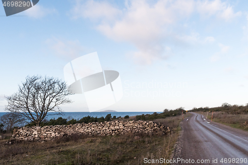 Image of Coastal country road