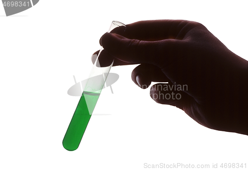 Image of Hand holding test tube of green liquid against white