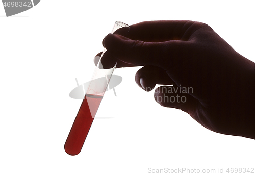 Image of Hand holding test tube of red liquid against white