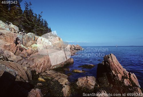 Image of  Rocky coastline along the Maine shore