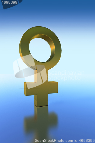 Image of Gold Female Symbol