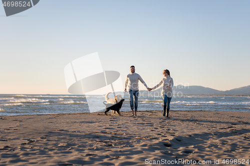 Image of couple with dog having fun on beach on autmun day