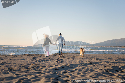 Image of couple with dog having fun on beach on autmun day