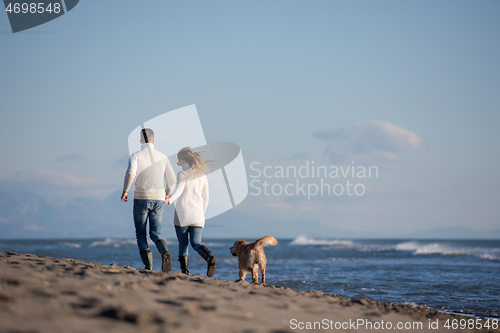 Image of couple with dog having fun on beach on autmun day