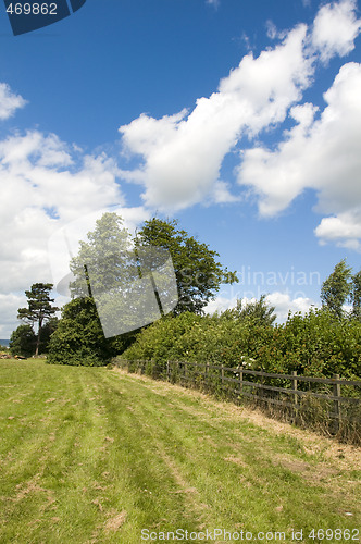 Image of summer field