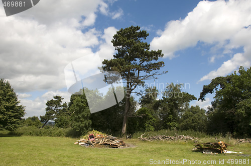 Image of summer field